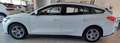 Ford Focus Focus V 2018 SW SW 1.5 ecoblue Business s Bianco - thumbnail 4