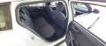 Ford Focus Focus V 2018 SW SW 1.5 ecoblue Business s Bianco - thumbnail 15