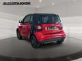 smart forTwo coupe passion PanoDach, Klima, Sitzheizung,.. Red - thumbnail 8