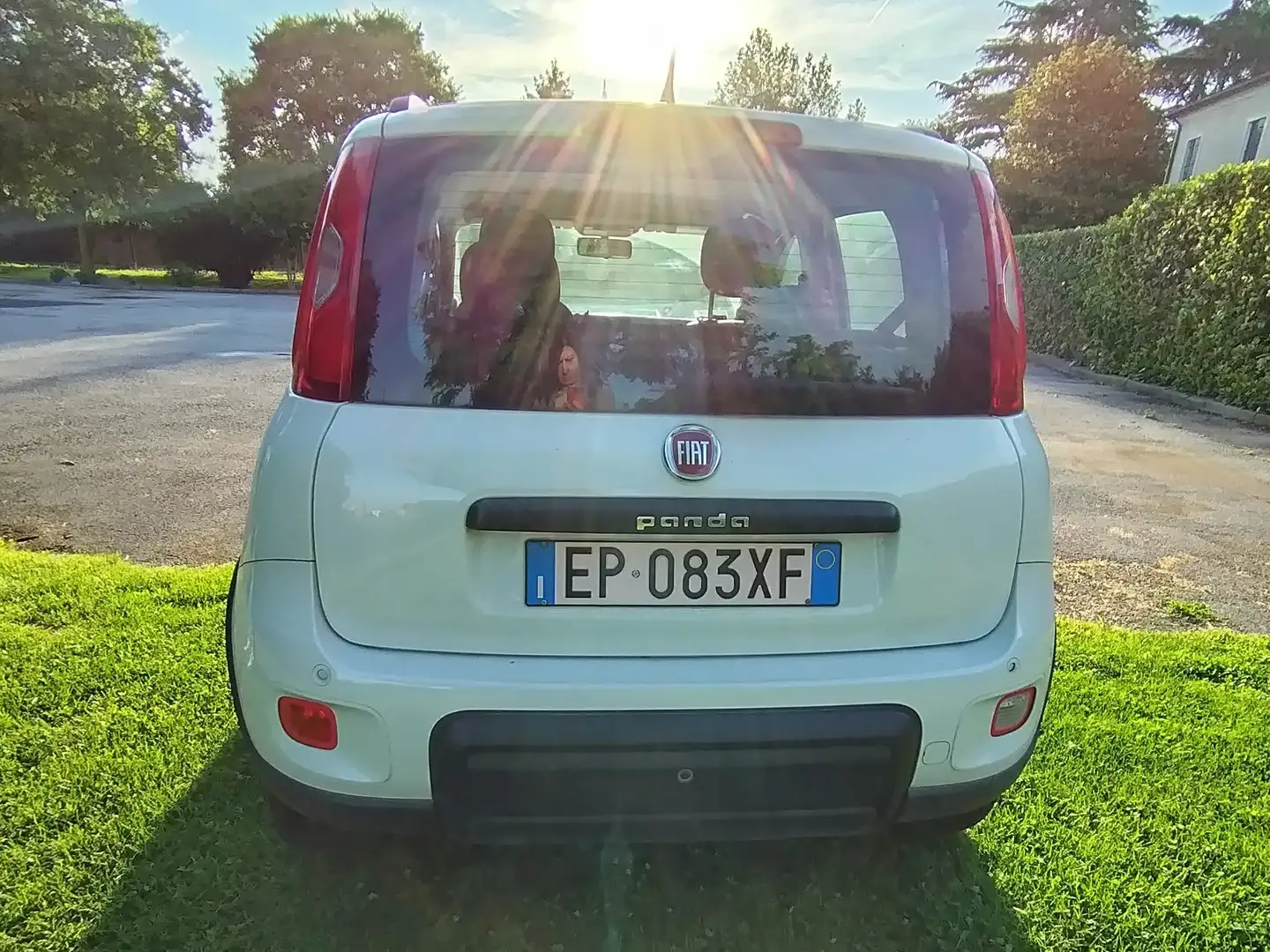 Fiat New Panda Trekking Alb - 2