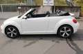 Volkswagen Beetle Cabriolet Exclusive Design Automatik 1.HA Blanc - thumbnail 11