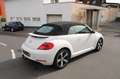Volkswagen Beetle Cabriolet Exclusive Design Automatik 1.HA Білий - thumbnail 14