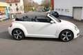 Volkswagen Beetle Cabriolet Exclusive Design Automatik 1.HA Bianco - thumbnail 7