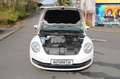 Volkswagen Beetle Cabriolet Exclusive Design Automatik 1.HA Bianco - thumbnail 27
