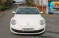 Volkswagen Beetle Cabriolet Exclusive Design Automatik 1.HA Beyaz - thumbnail 2