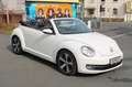 Volkswagen Beetle Cabriolet Exclusive Design Automatik 1.HA Blanc - thumbnail 3