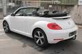 Volkswagen Beetle Cabriolet Exclusive Design Automatik 1.HA Weiß - thumbnail 10