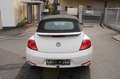 Volkswagen Beetle Cabriolet Exclusive Design Automatik 1.HA White - thumbnail 13