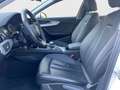Audi A4 40 TDI S tronic Business Leder Weiß - thumbnail 9