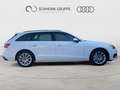 Audi A4 40 TDI S tronic Business Leder Weiß - thumbnail 6