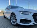 Audi A4 40 TDI S tronic Business Leder Weiß - thumbnail 25