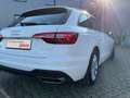 Audi A4 40 TDI S tronic Business Leder Weiß - thumbnail 26