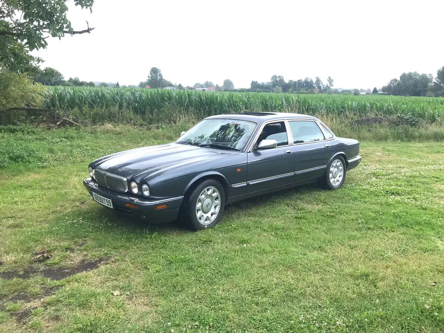 Daimler Super V8 X308 Grigio - 1
