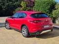 Alfa Romeo Stelvio Stelvio 2020 2.2 t Business rwd 160cv auto Rosso - thumbnail 10