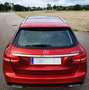 Mercedes-Benz C 220 C Estate 220BlueTec 7G Plus Burdeos - thumbnail 10