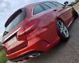 Mercedes-Benz C 220 C Estate 220BlueTec 7G Plus Burdeos - thumbnail 12