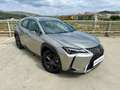 Lexus UX 300h + Grijs - thumbnail 12
