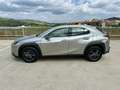 Lexus UX 300h + Grijs - thumbnail 19