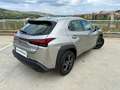 Lexus UX 300h + Grijs - thumbnail 15
