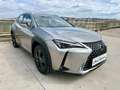 Lexus UX 300h + Grijs - thumbnail 10