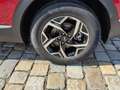 Kia Sportage Urban 1.6 T-GDI MHEV 160 PS -Navi 12,3 Zoll-Rüc... Rot - thumbnail 8
