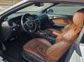 Audi A5 Cabrio 3.0 V6 tdi Ambition quattro s-tronic White - thumbnail 6