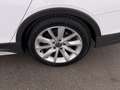 Volkswagen Golf Variant Golf VIII Variant 2.0 TDI 4Motion Alltrack Aut Weiß - thumbnail 24
