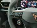 CUPRA Leon Sportstourer VZ 2.0 TSI 4D. AHK/Matrix/Pano Grau - thumbnail 19