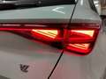 CUPRA Leon Sportstourer VZ 2.0 TSI 4D. AHK/Matrix/Pano Grau - thumbnail 22