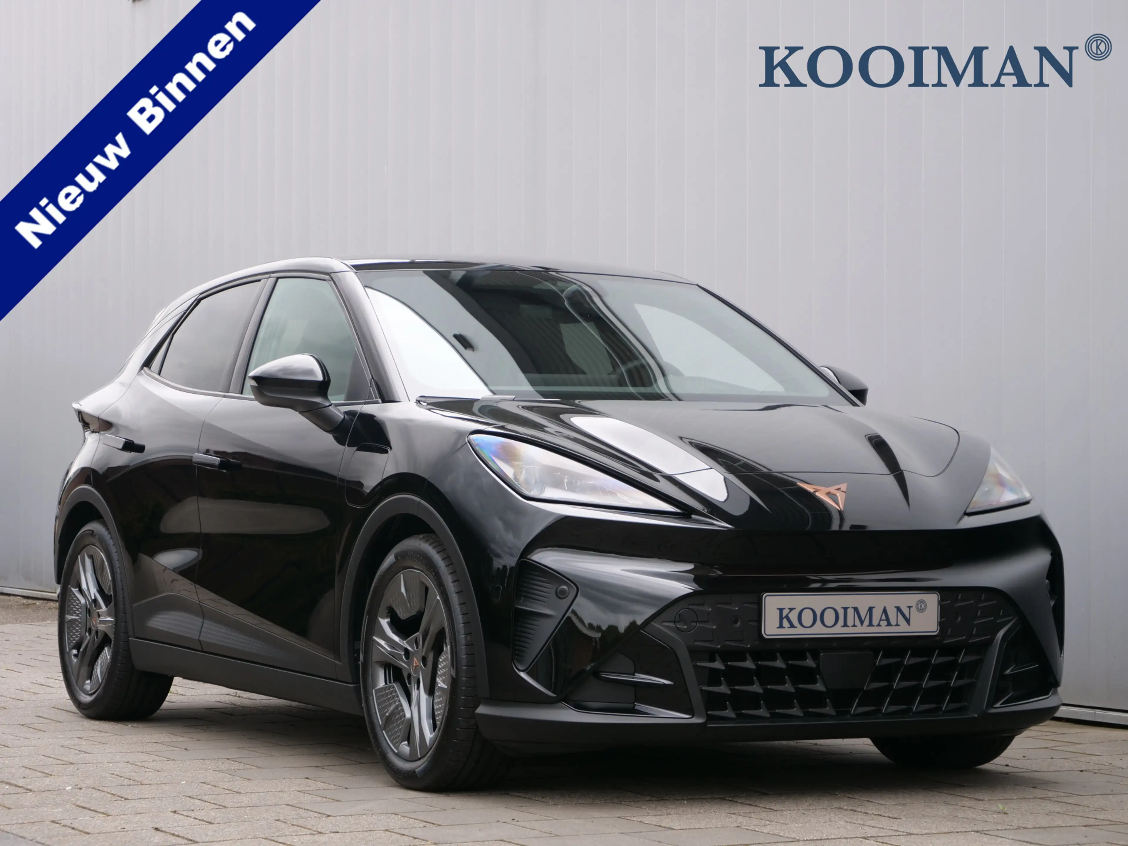 CUPRA Raval Endurance First Edition 52 kWh 210 Pk Automaat DAB