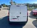Renault Kangoo MAXI 1.5 DCI 115CV 6M AUTOCARRO 2 MODELLI DISPONIB Bianco - thumbnail 5