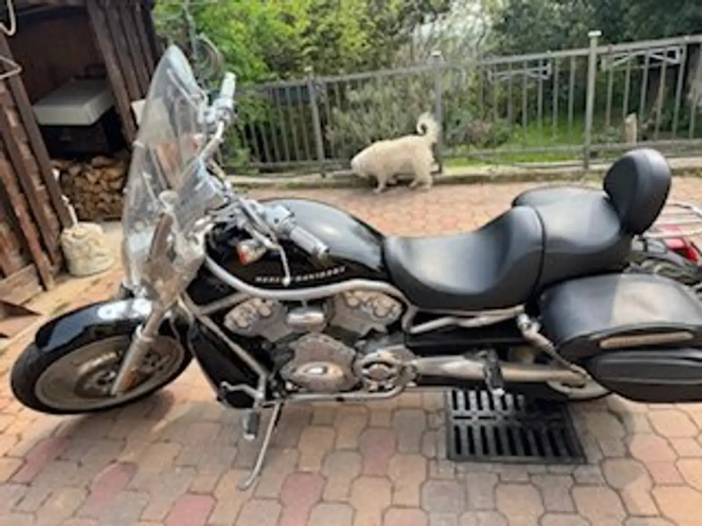 Harley-Davidson VRSC V-Rod VRSCA Zwart - 1