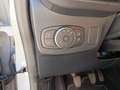 Ford Puma ST Line 1.0 EcoBoost mHEV Grau - thumbnail 19