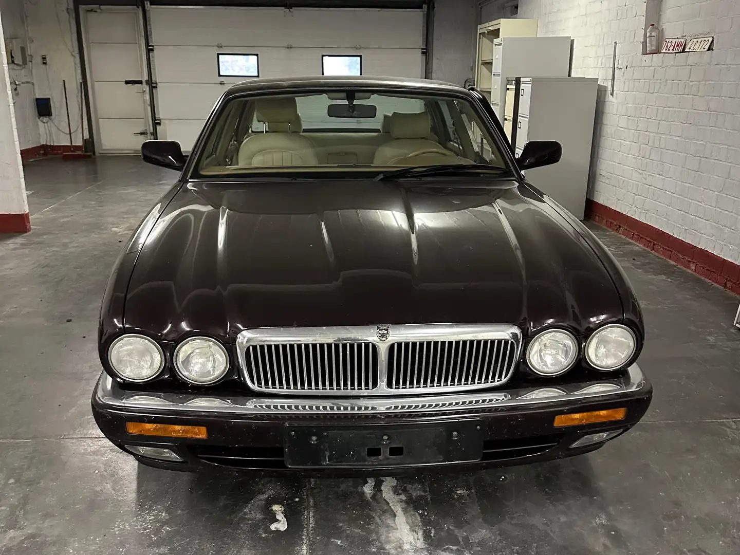 Jaguar XJ6 XJ6 3.6 Automatik Rood - 1