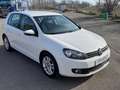 Volkswagen Golf 1.6 TDI DPF DSG 5p. UNIPROPRIETARIO X NEOPATENTATI Bianco - thumbnail 4
