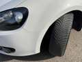 Volkswagen Golf 1.6 TDI DPF DSG 5p. UNIPROPRIETARIO X NEOPATENTATI Bianco - thumbnail 10