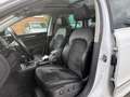 Skoda Superb 2.0 TDI DSG 4x4 Elegance PANO/STANDHEIZUN Blanco - thumbnail 9