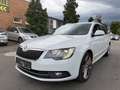 Skoda Superb 2.0 TDI DSG 4x4 Elegance PANO/STANDHEIZUN Blanco - thumbnail 3