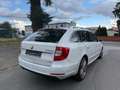 Skoda Superb 2.0 TDI DSG 4x4 Elegance PANO/STANDHEIZUN Blanco - thumbnail 5