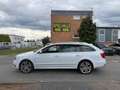 Skoda Superb 2.0 TDI DSG 4x4 Elegance PANO/STANDHEIZUN Blanco - thumbnail 8