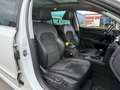 Skoda Superb 2.0 TDI DSG 4x4 Elegance PANO/STANDHEIZUN Blanco - thumbnail 14