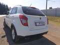SsangYong Korando Korando Basic 2WD Basic Weiß - thumbnail 3