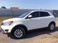 SsangYong Korando Korando Basic 2WD Basic Weiß - thumbnail 2