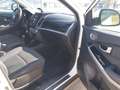 SsangYong Korando Korando Basic 2WD Basic Weiß - thumbnail 6