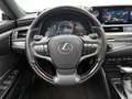 Lexus ES 300 300h President Line Limited | Elektrisch glazen sc Noir - thumbnail 20