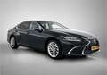 Lexus ES 300 300h President Line Limited | Elektrisch glazen sc Noir - thumbnail 15
