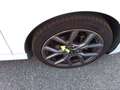 Ford Fiesta 1.0 EcoBoost MHEV ST Line 125 Blanco - thumbnail 14