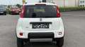 Fiat Panda TwinAir 85 4x4 Wild Wit - thumbnail 4