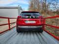 Peugeot 3008 1,5 BlueHDi 130 S&S EAT8 Allure Aut./Top gepfle... Rot - thumbnail 9