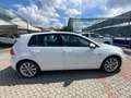 Volkswagen Golf Golf VII 2013 5p 1.6 tdi  Executive 110cv dsg Bianco - thumbnail 13